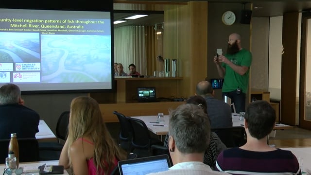 Community-level migration patterns of fish throughout the Mitchell River, Queensland, Australia (video Dec 2018)