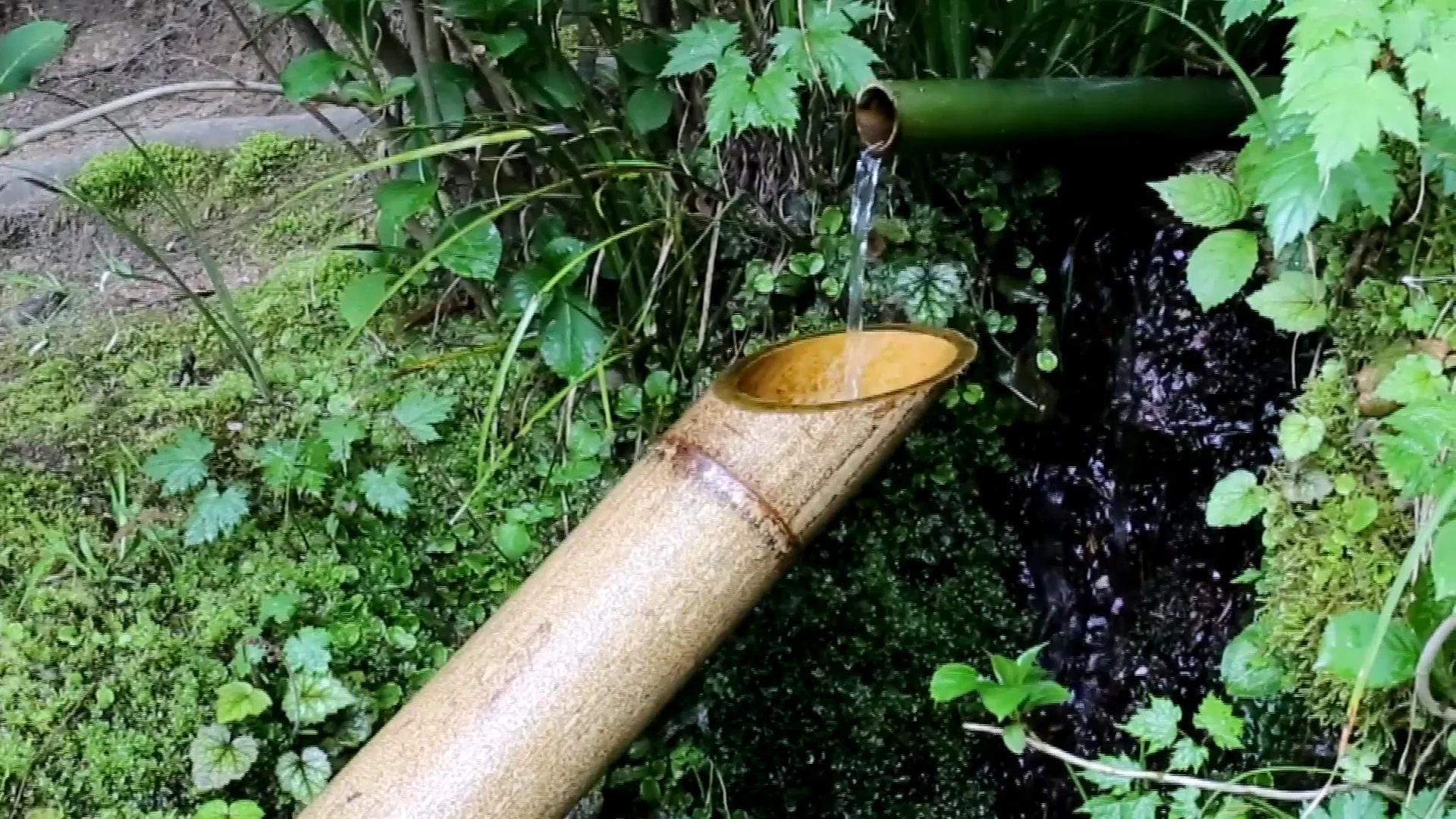 Shishi-Odoshi - Ljudplanering