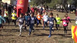 La cros comarcal arriba a l'Escala dissabte