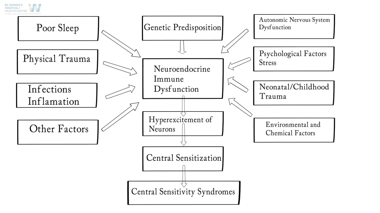 Central Sensitivity Syndromes on Vimeo