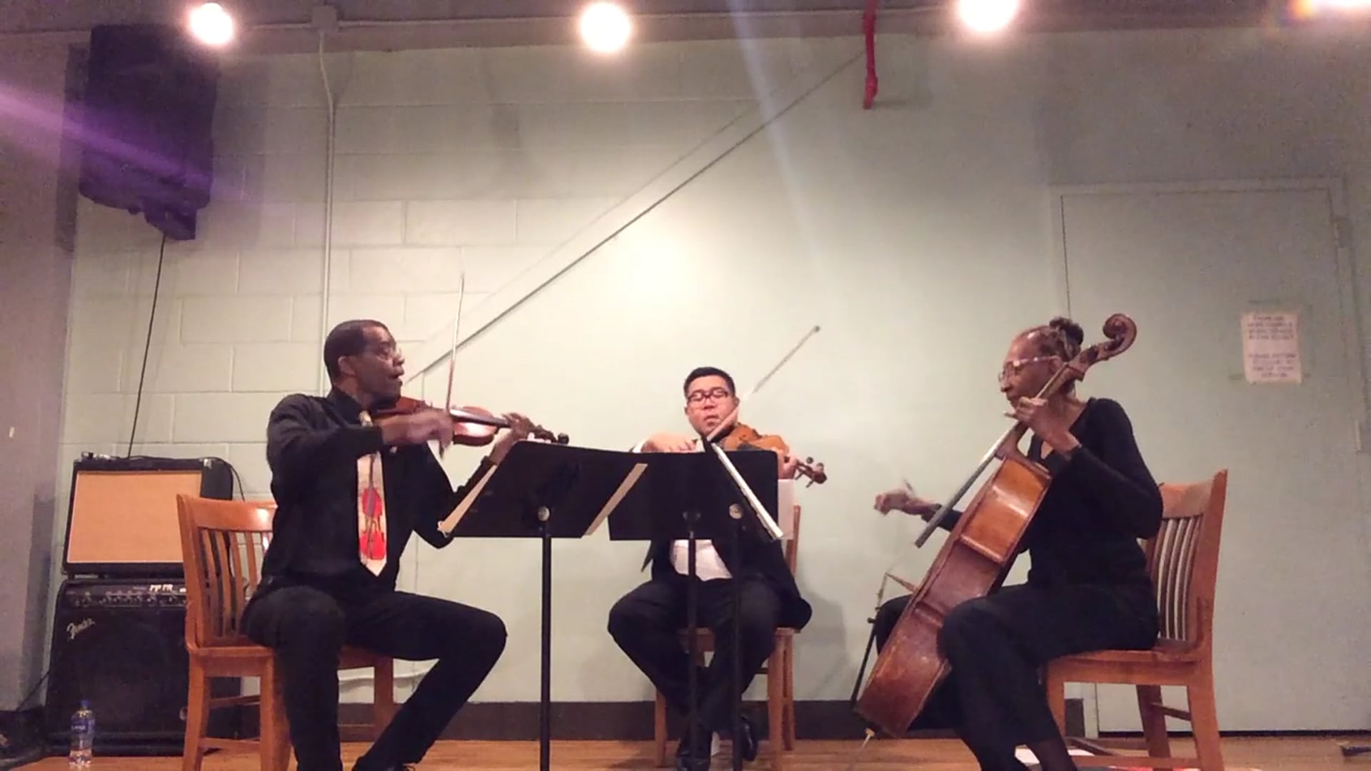 Promotional video thumbnail 1 for Renaissance Quartet