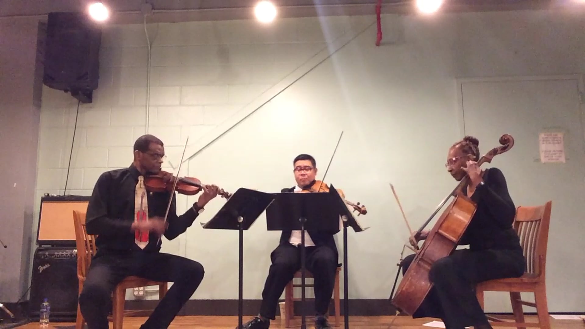 Promotional video thumbnail 2 for Renaissance Quartet