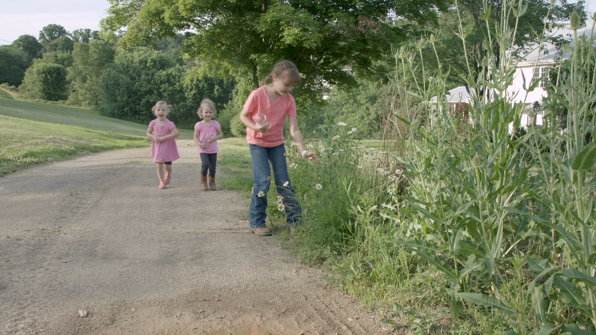 Daniel Tiger: Dairy Farm