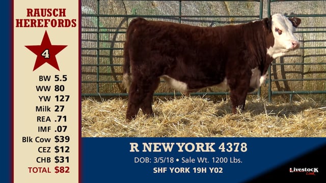Lot #4 - R NEW YORK 4378