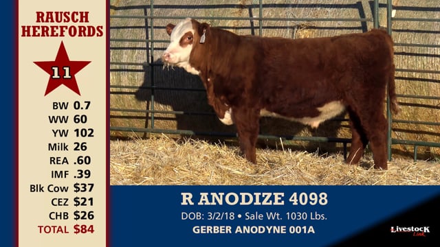 Lot #11 - R ANODIZE 4098