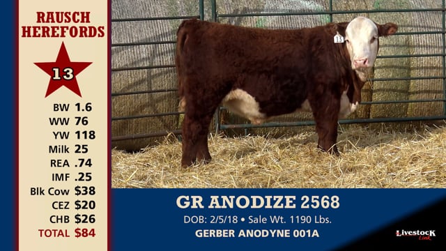 Lot #13 - GR ANODIZE 2568