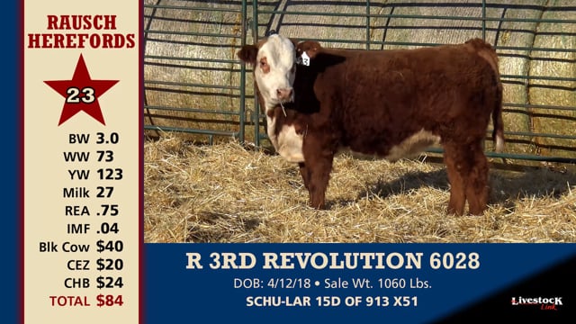Lot #23 - R 3RD REVOLUTION 6028