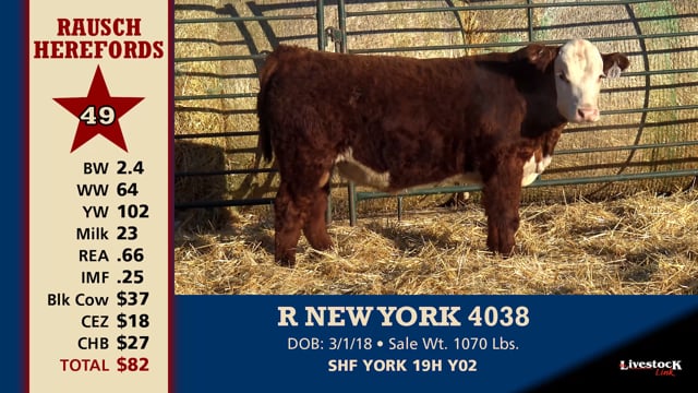Lot #49 - R NEW YORK 4038