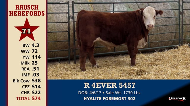 Lot #71 - R 4EVER 5457