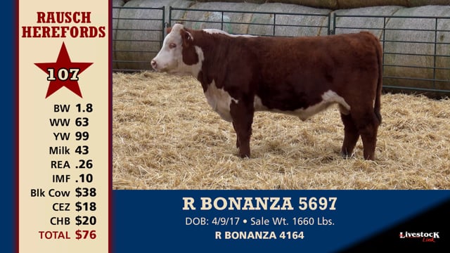 Lot #107 - R BONANZA 5697