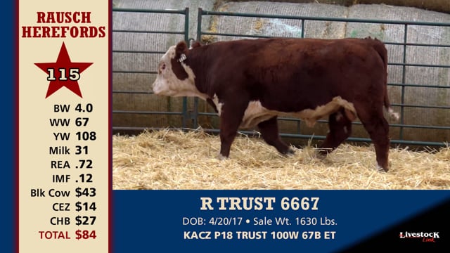 Lot #115 - R TRUST 6667