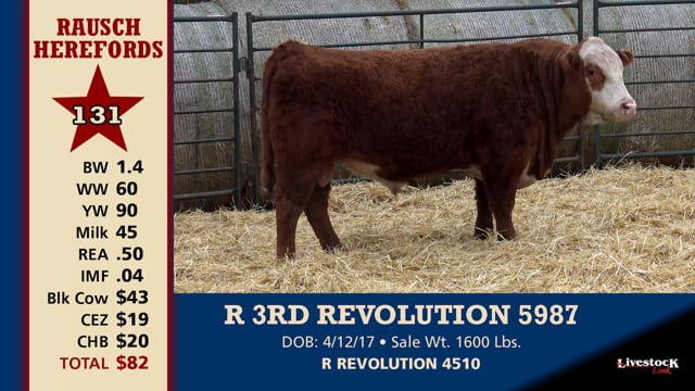 Lot #131 - R 3RD REVOLUTION 5987