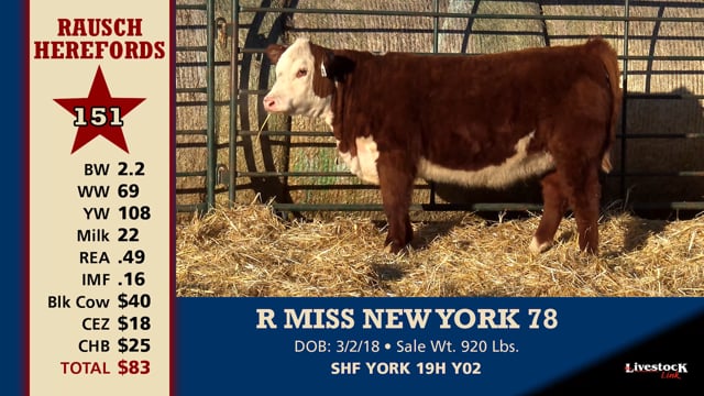 Lot #151 - R MISS NEW YORK 78