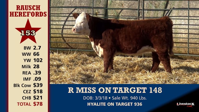 Lot #153 - R MISS ON TARGET 148