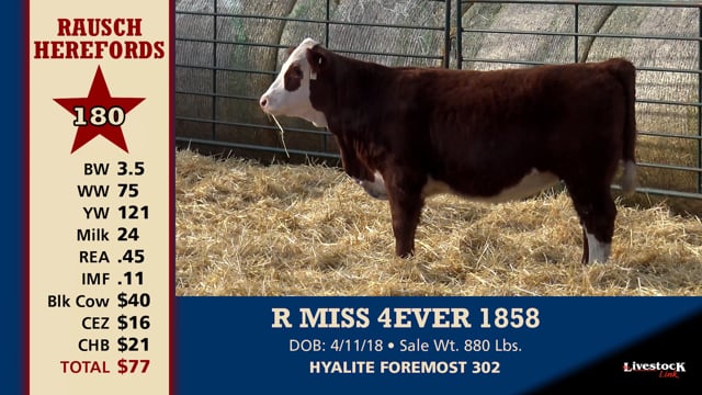 Lot #180 - R MISS 4EVER 1858
