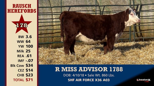Lot #178 - R MISS ADVISOR 1788