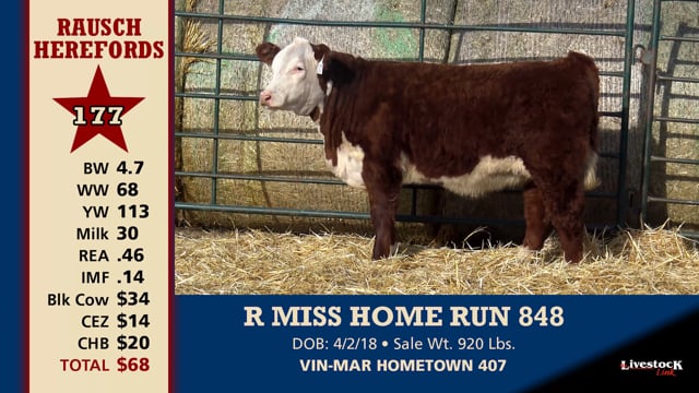 Lot #177 - R MISS HOME RUN 848