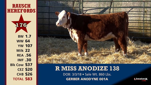 Lot #176 - R MISS ANODIZE 138