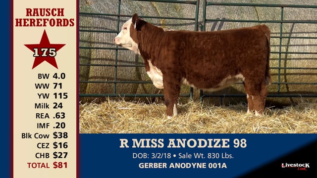 Lot #175 - R MISS ANODIZE 98