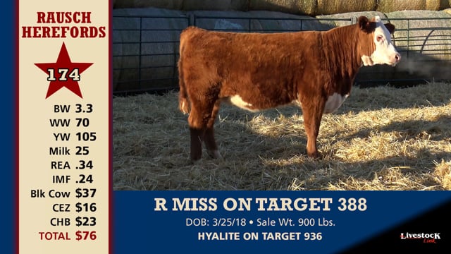 Lot #174 - R MISS ON TARGET 388