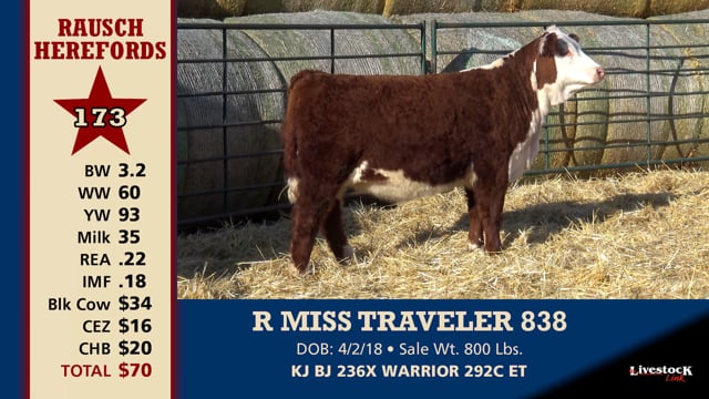 Lot #173 - R MISS TRAVELER 838