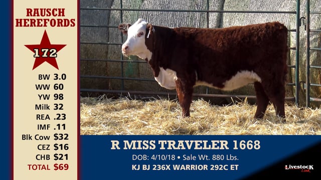 Lot #172 - R MISS TRAVELER 1668