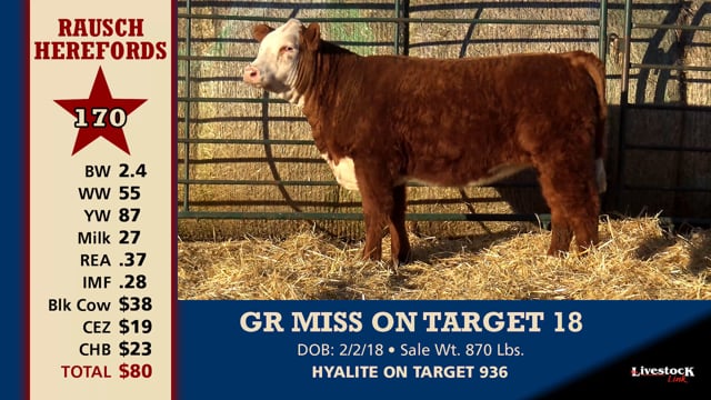 Lot #170 - GR MISS ON TARGET 18
