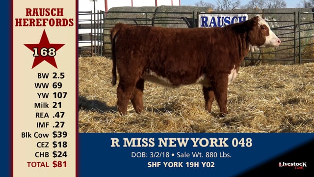Lot #168 - R MISS NEW YORK 048