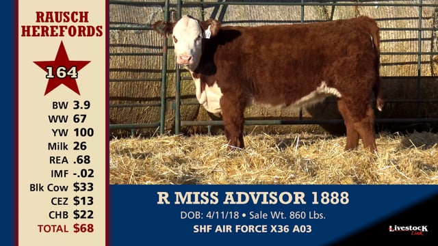Lot #164 - R MISS ADVISOR 1888