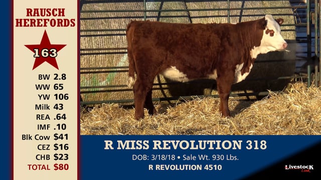 Lot #163 - R MISS REVOLUTION 318