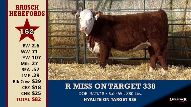 Lot #162 - R MISS ON TARGET 338