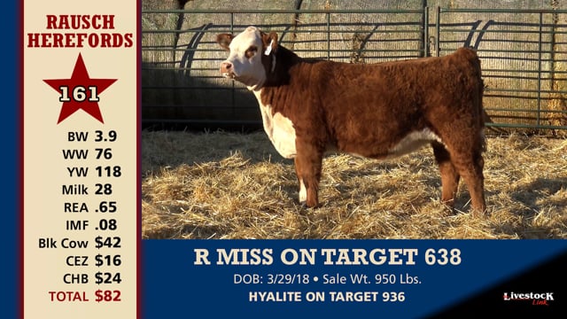 Lot #161 - R MISS ON TARGET 638