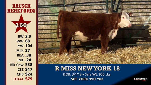 Lot #160 - R MISS NEW YORK 18