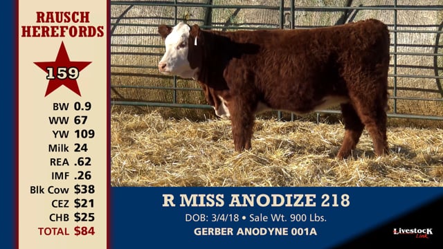 Lot #159 - R MISS ANODIZE 218