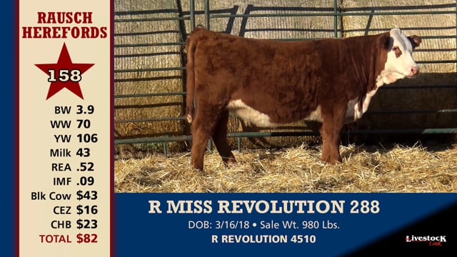 Lot #158 - R MISS REVOLUTION 288
