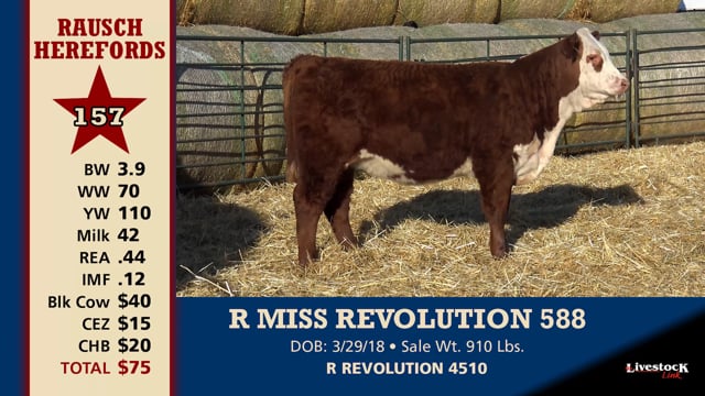 Lot #157 - R MISS REVOLUTION 588