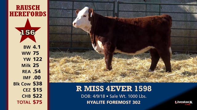 Lot #156 - R MISS 4EVER 1598