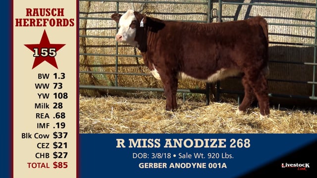 Lot #155 - R MISS ANODIZE 268
