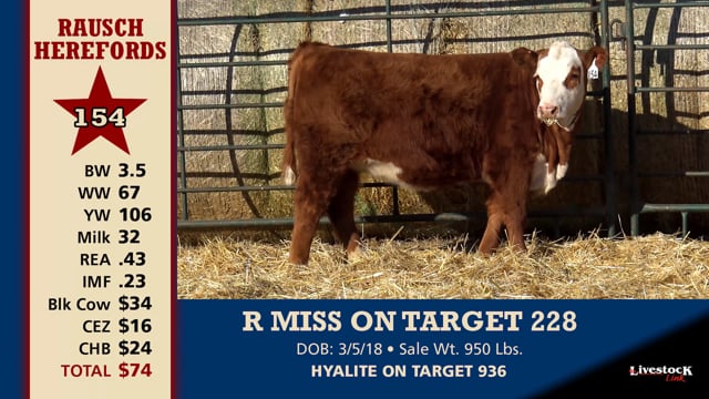 Lot #154 - R MISS ON TARGET 228
