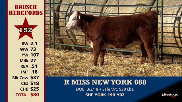 Lot #152 - R MISS NEW YORK 088