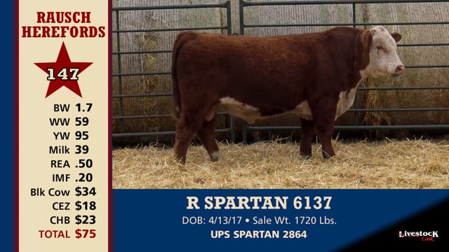 Lot #147 - R SPARTAN 6137