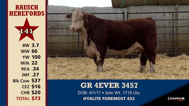 Lot #141 - GR 4EVER 3457