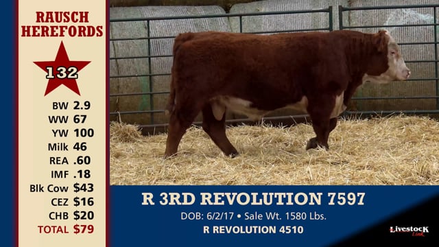 Lot #132 - R 3RD REVOLUTION 7597