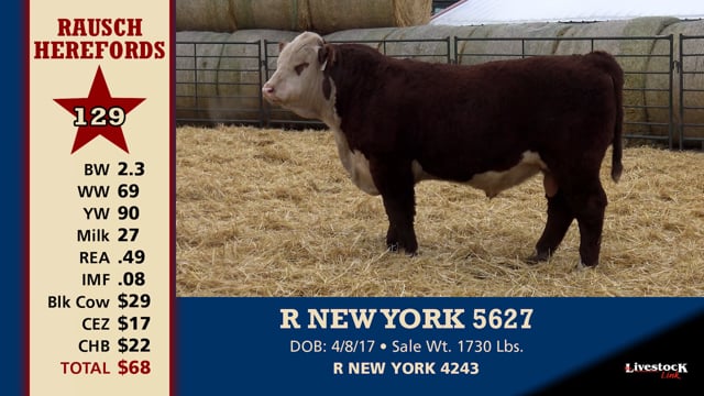 Lot #129 - R NEW YORK 5627
