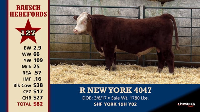 Lot #127 - R NEW YORK 4047
