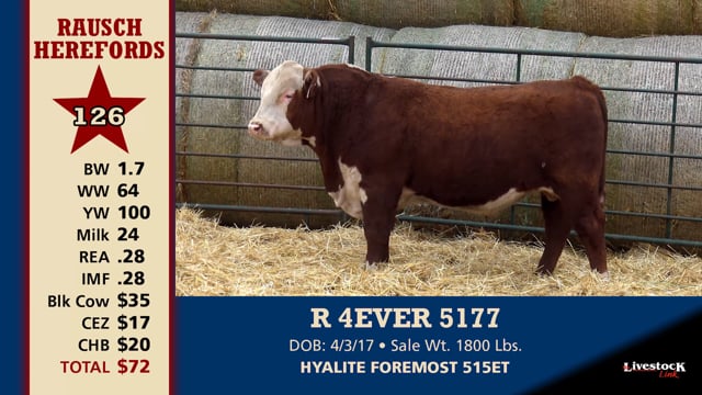 Lot #126 - R 4EVER 5177