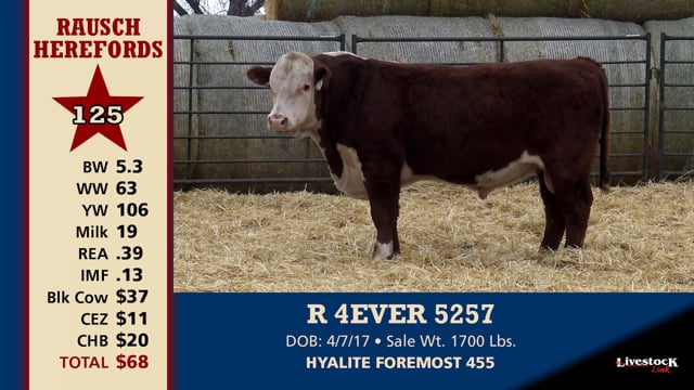 Lot #125 - R 4EVER 5257