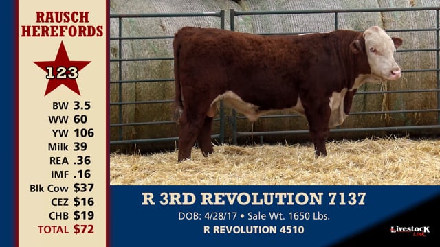 Lot #123 - R 3RD REVOLUTION 7137