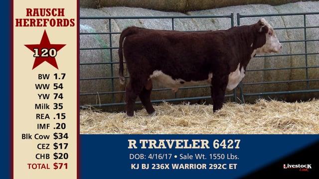 Lot #120 - R TRAVELER 6427