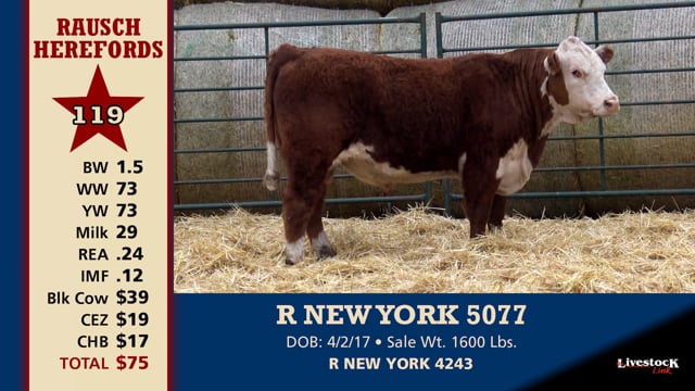 Lot #119 - R NEW YORK 5077